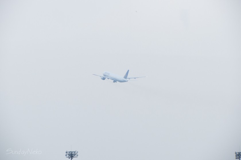 CRW_7029